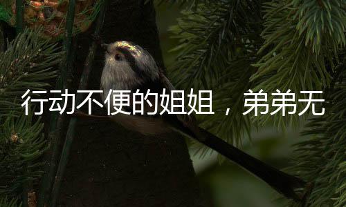 行動不便的姐姐，弟弟無微不至的關(guān)愛