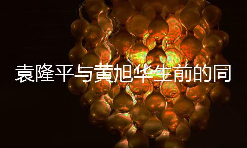 袁隆平與黃旭華生前的同框瞬間，時代精神的長存引發(fā)無盡感動
