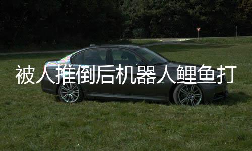 被人推倒后機(jī)器人鯉魚(yú)打挺起身，一場(chǎng)技術(shù)與身體的奇妙結(jié)合
