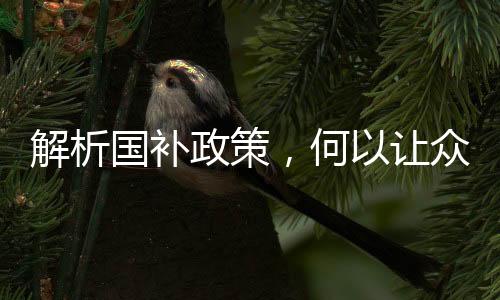 解析國(guó)補(bǔ)政策，何以讓眾多00后減輕生活費(fèi)負(fù)擔(dān)？
