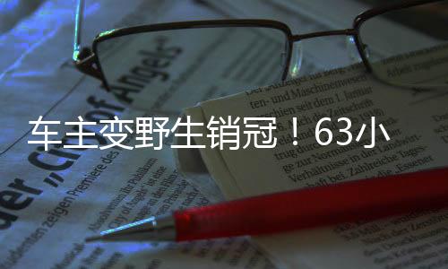 車主變野生銷冠！63小時(shí)賣753臺(tái)問界——一個(gè)銷售奇跡的誕生與解析