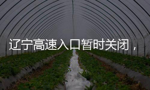 遼寧高速入口暫時(shí)關(guān)閉，實(shí)地探訪與應(yīng)對(duì)措施詳解