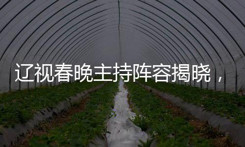 遼視春晚主持陣容揭曉，杜海濤、劉濤、于洋攜手獻(xiàn)上新年祝福