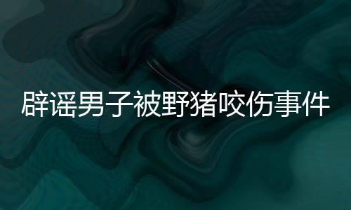 辟謠男子被野豬咬傷事件，真相揭曉，謠言止于此