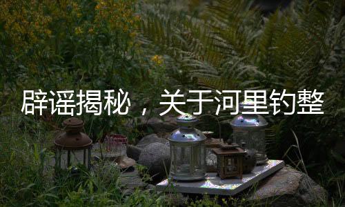 辟謠揭秘，關(guān)于河里釣整箱現(xiàn)金真相的背后探究