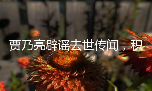 賈乃亮辟謠去世傳聞，積極回應(yīng)網(wǎng)絡(luò)傳聞，傳播正能量