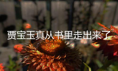 賈寶玉真從書里走出來了，一場奇幻的文化盛宴