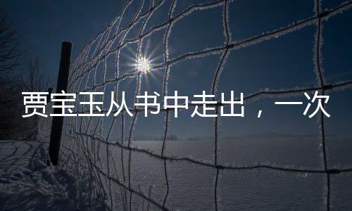 賈寶玉從書中走出，一次跨越時空的奇遇