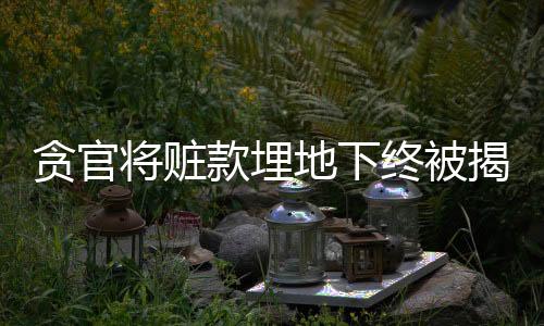 貪官將贓款埋地下終被揭露，法治嚴(yán)懲腐敗的堅(jiān)決立場(chǎng)