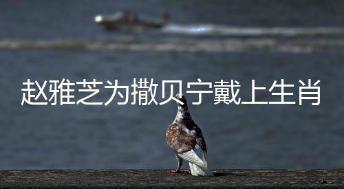 趙雅芝為撒貝寧戴上生肖帽，跨越時(shí)光的經(jīng)典相遇與傳統(tǒng)文化的美妙傳承