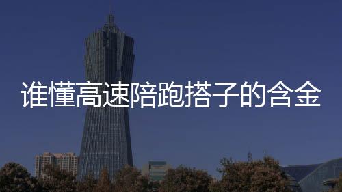 誰懂高速陪跑搭子的含金量？