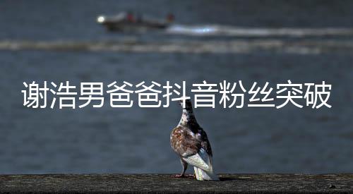謝浩男爸爸抖音粉絲突破百萬大關(guān)，探秘網(wǎng)紅之路