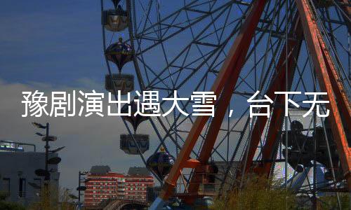 豫劇演出遇大雪，臺(tái)下無人演員仍傾情獻(xiàn)藝——戲劇的堅(jiān)守與傳承