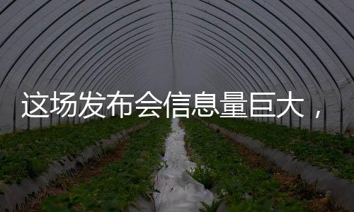 這場發(fā)布會信息量巨大，揭秘前沿科技與行業(yè)動(dòng)態(tài)的重大更新