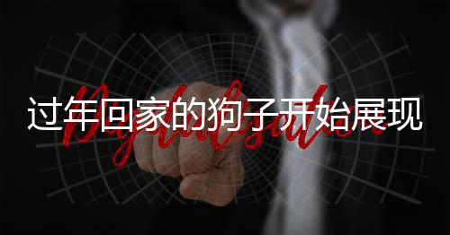 過(guò)年回家的狗子開(kāi)始展現(xiàn)家務(wù)技能，寵物智能與家庭新風(fēng)尚