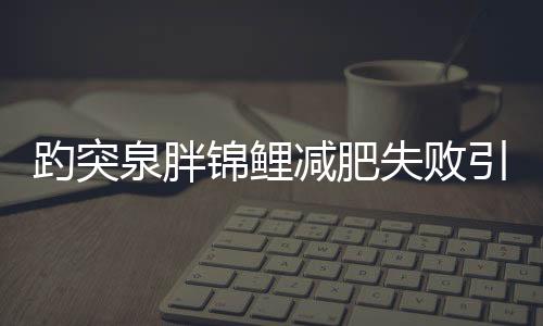 趵突泉胖錦鯉減肥失敗引發(fā)關(guān)注熱議