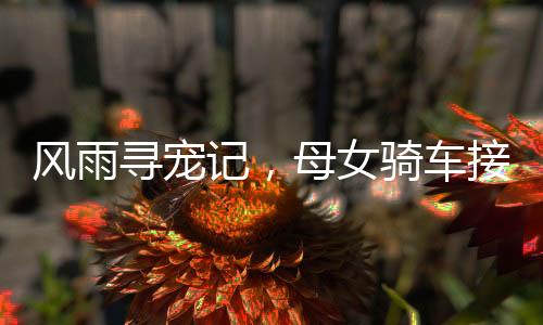 風(fēng)雨尋寵記，母女騎車接回家中小狗，親情的堅(jiān)守與執(zhí)著