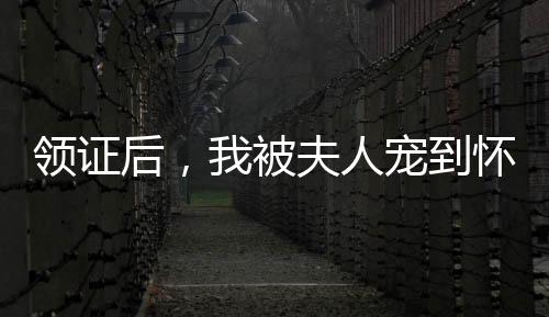 領(lǐng)證后，我被夫人寵到懷疑人生