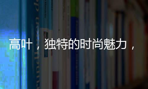 高葉，獨特的時尚魅力，引領(lǐng)穿戴鋼筆新風(fēng)潮