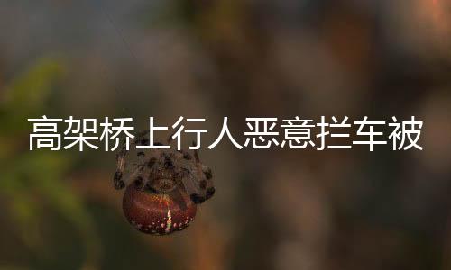 高架橋上行人惡意攔車被交警制裁事件紀(jì)實(shí)