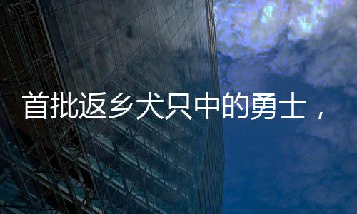 首批返鄉(xiāng)犬只中的勇士，冒險回歸，有只掉糞坑的故事