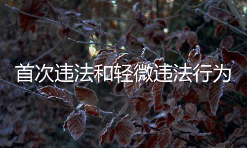 首次違法和輕微違法行為不予處罰，十二種情形詳解