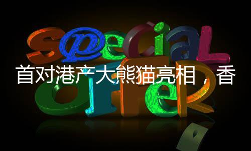 首對港產(chǎn)大熊貓亮相，香港掀起熊貓熱潮