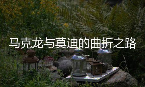 馬克龍與莫迪的曲折之路，終見萬斯之旅紀實