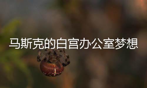 馬斯克的白宮辦公室夢想破滅，被拒之謎的背后探討