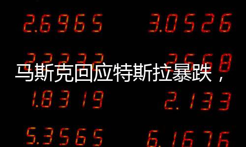 馬斯克回應特斯拉暴跌，市場波動背后的信念與挑戰(zhàn)