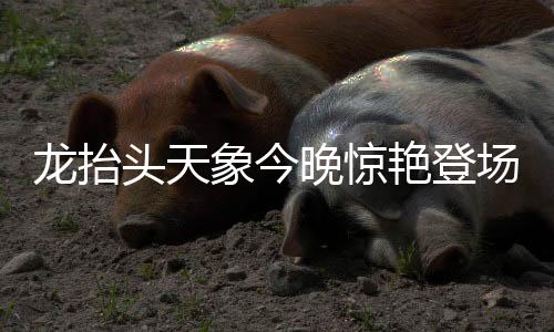 龍?zhí)ь^天象今晚驚艷登場(chǎng)，壯麗星辰昭示美好寓意