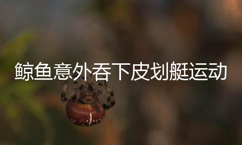 鯨魚意外吞下皮劃艇運(yùn)動員又吐出，海洋奇遇還是驚險瞬間？