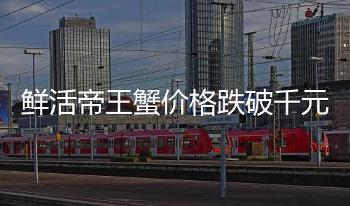 鮮活帝王蟹價格跌破千元，消費者狂歡季來臨