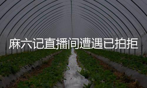 麻六記直播間遭遇已拍拒收風(fēng)波，探究背后的真相