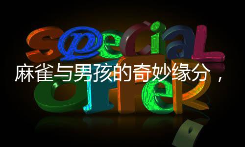 麻雀與男孩的奇妙緣分，一次關(guān)于自由與陪伴的溫馨故事
