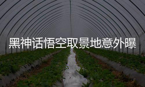 黑神話悟空取景地意外曝光，驚艷畫面竟現(xiàn)于鉛筆尖