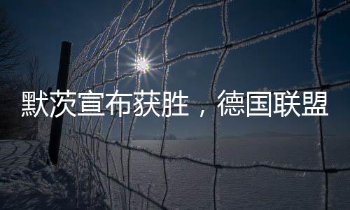 默茨宣布獲勝，德國聯(lián)盟黨贏得大選