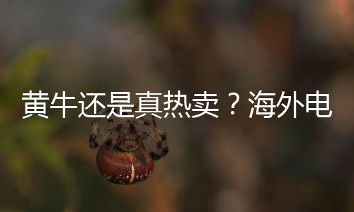 黃牛還是真熱賣？海外電商RTX 50系列顯卡20分鐘搶光
