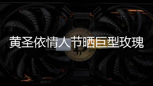 黃圣依情人節(jié)曬巨型玫瑰，浪漫驚喜引發(fā)網(wǎng)友熱議
