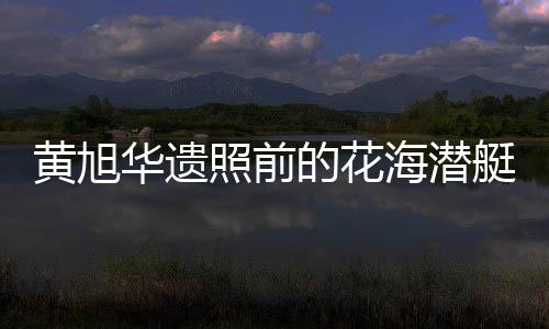 黃旭華遺照前的花海潛艇，緬懷傳奇人物的無盡敬意