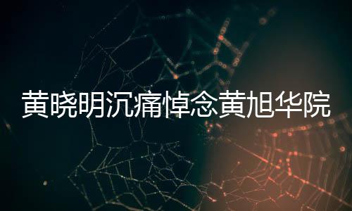 黃曉明沉痛悼念黃旭華院士，共同緬懷科學(xué)巨匠
