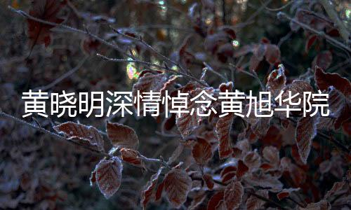 黃曉明深情悼念黃旭華院士，科技巨星隕落，人文情懷長(zhǎng)存