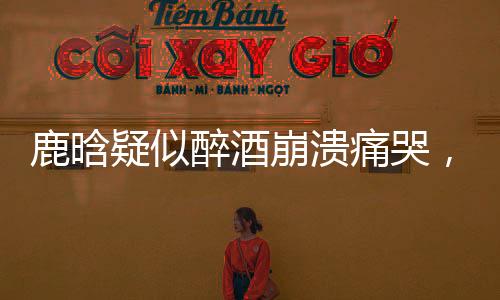 鹿晗疑似醉酒崩潰痛哭，引發(fā)公眾關(guān)注與熱議