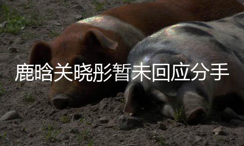 鹿晗關(guān)曉彤暫未回應(yīng)分手傳聞，一段情感的真假與公眾的期待