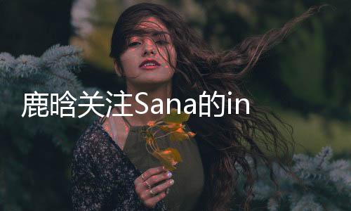 鹿晗關(guān)注Sana的ins，跨越文化與社交平臺的熱門事件揭秘