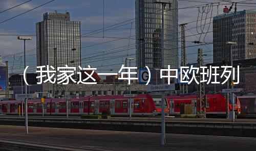 （我家這一年）中歐班列（西安）司機的跨國愛情