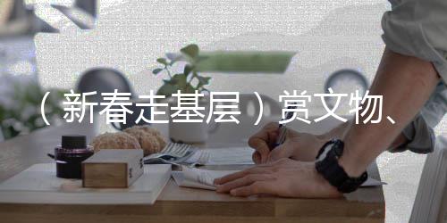 （新春走基層）賞文物、尋“小龍” 游客涌入博物館“拜年”