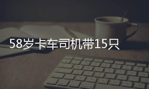 58歲卡車司機(jī)帶15只流浪貓回家過(guò)年