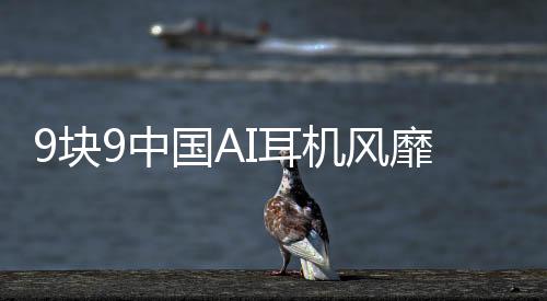 9塊9中國AI耳機(jī)風(fēng)靡全球，老外爭相搶購