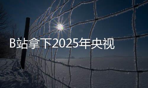 B站拿下2025年央視春晚轉(zhuǎn)播權(quán)：獨家彈幕視頻平臺